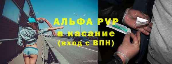 сатива Зеленокумск
