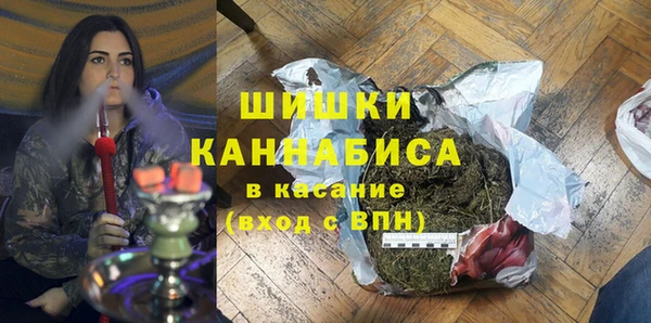 сатива Зеленокумск