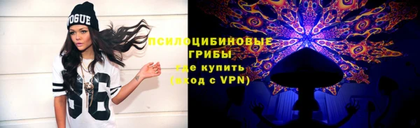сатива Зеленокумск