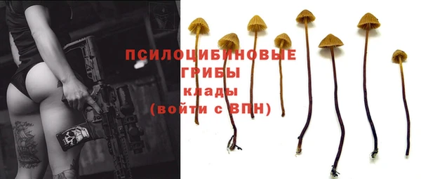 таблы Зерноград