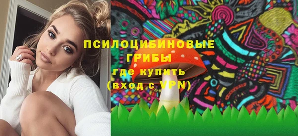 сатива Зеленокумск