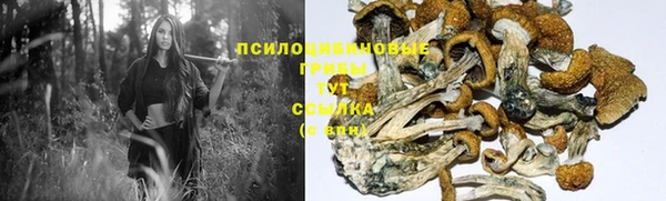 синтетический гашиш Зеленодольск