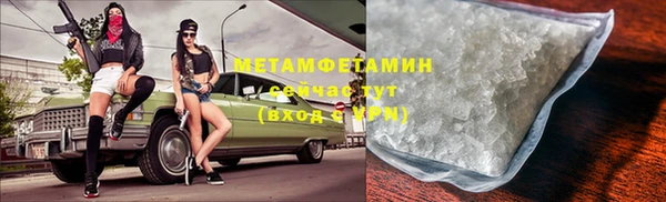 сатива Зеленокумск