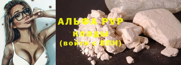 сатива Зеленокумск