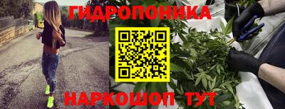 тгк Свободный