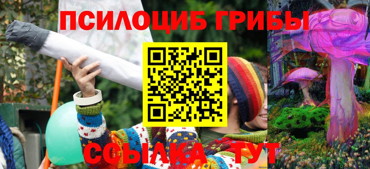 Галлюциногенные грибы GOLDEN TEACHER Чапаевск