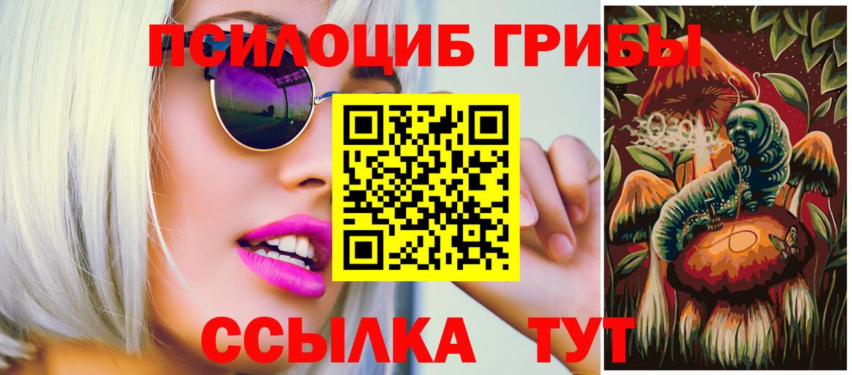 Чапаевск  Псилоцибиновые грибы Cubensis  где можно купить наркотик  Вход с VPN  Псилоцибиновые грибы ЛСД 